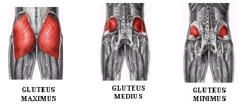 http://www.posturesorted.com/glute-exercises-without-weights-great-posture/