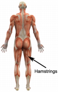 http://www.physioadvisor.com.au/8285950/hamstring-exercises-hamstring-strengthening-exer.htm