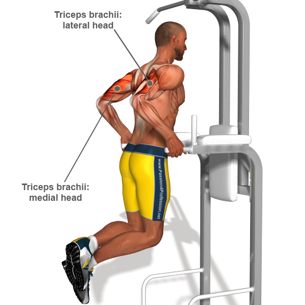 http://exercisesbest.us/art-of-strength/best-tricep-exercises-for-men.html