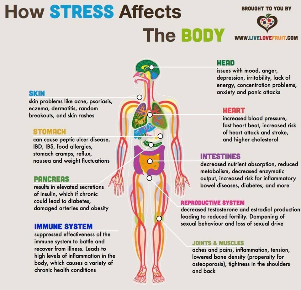 Http www lifewithoutanorexia 2015 05 stress and its affects on 